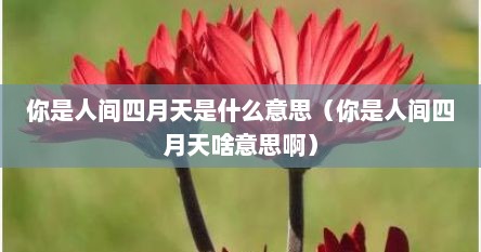 你是人间四月天是什么意思（你是人间四月天啥意思啊）