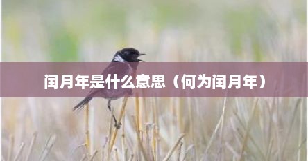 闰月年是什么意思（何为闰月年）
