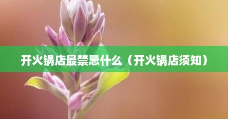 开火锅店最禁忌什么（开火锅店须知）
