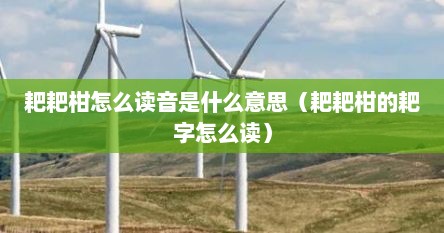 耙耙柑怎么读音是什么意思（耙耙柑的耙字怎么读）