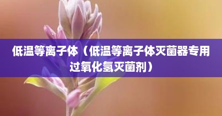 低温等离子体（低温等离子体灭菌器专用过氧化氢灭菌剂）