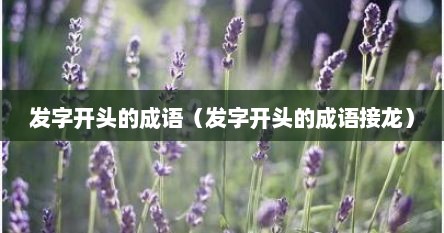 发字开头的成语（发字开头的成语接龙）