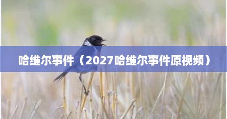 哈维尔事件（2027哈维尔事件原视频）