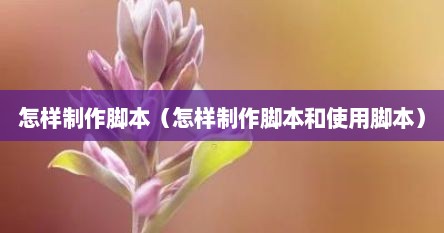 怎样制作脚本（怎样制作脚本和使用脚本）