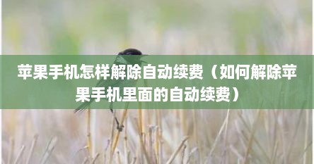 苹果手机怎样解除自动续费（如何解除苹果手机里面的自动续费）