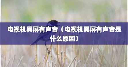 电视机黑屏有声音屏幕蓝色（电视机黑屏有声音是什么故障）