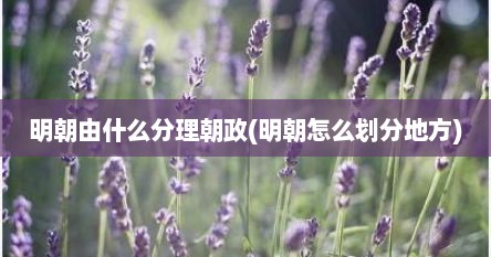 明朝由什么分理朝政(明朝怎么划分地方)