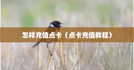 怎样充值点卡（点卡充值教程）
