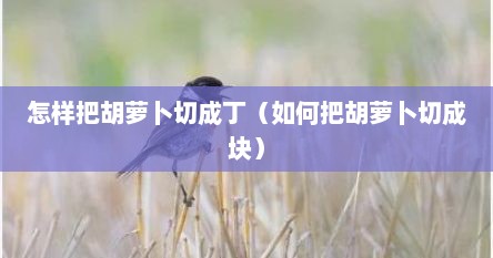 怎样把胡萝卜切成丁（如何把胡萝卜切成块）