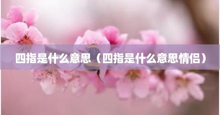 四指是什么意思（四指是什么意思情侣）