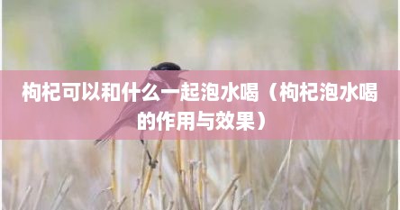 枸杞可以和什么一起泡水喝（枸杞泡水喝的作用与效果）