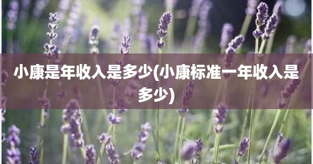 小康是年收入是多少(小康标准一年收入是多少)