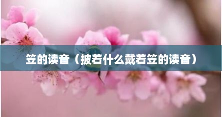 笠的读音（披着什么戴着笠的读音）