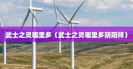 武士之灵哪里多（武士之灵哪里多阴阳师）