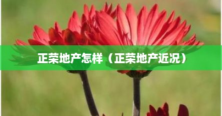 正荣地产怎样（正荣地产近况）