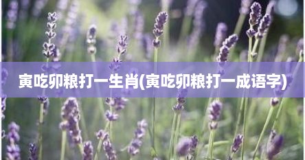 寅吃卯粮打一生肖(寅吃卯粮打一成语字)
