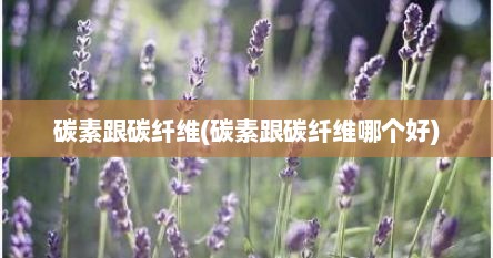 碳素跟碳纤维(碳素跟碳纤维哪个好)