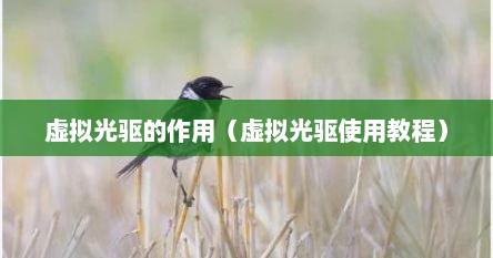 虚拟光驱的作用（虚拟光驱使用教程）