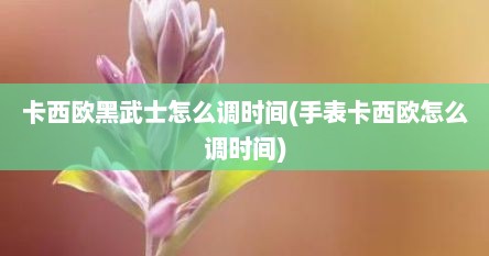 卡西欧黑武士怎么调时间(手表卡西欧怎么调时间)