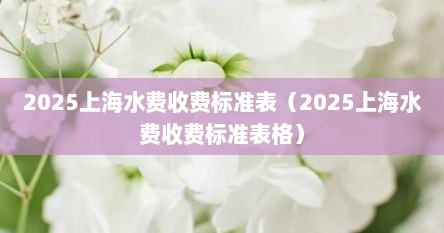 2025上海水费收费标准表（2025上海水费收费标准表格）