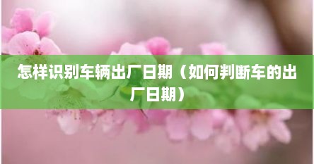 怎样识别车辆出厂日期（如何判断车的出厂日期）