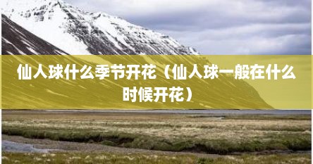 仙人球什么季节开花（仙人球一般在什么时候开花）