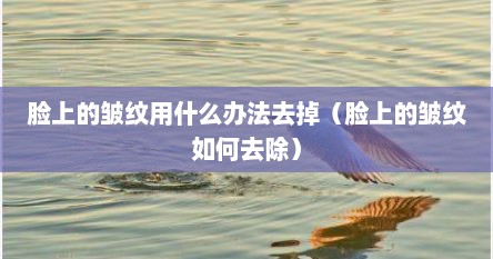 脸上的皱纹用什么办法去掉（脸上的皱纹如何去除）