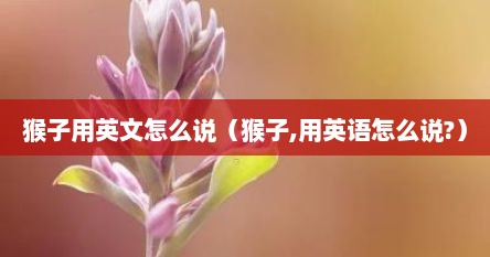 猴子用英文怎么说（猴子,用英语怎么说?）