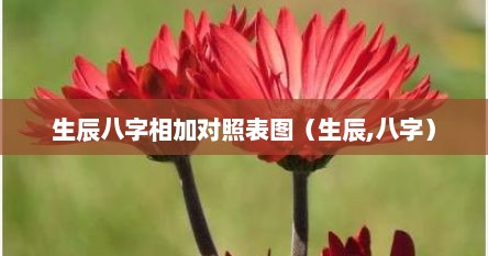 生辰八字相加对照表图（生辰,八字）