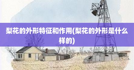 梨花的外形特征和作用(梨花的外形是什么样的)