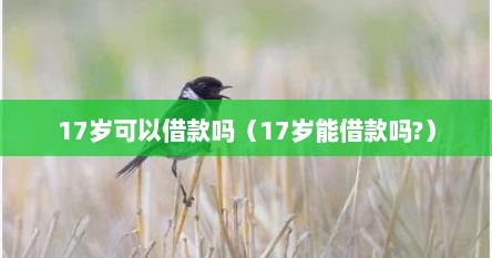 17岁可以借款吗（17岁能借款吗?）