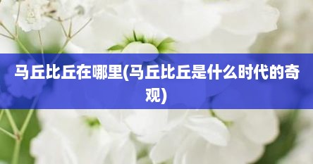 马丘比丘在哪里(马丘比丘是什么时代的奇观)