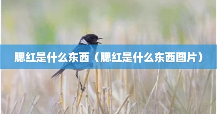 腮红是什么东西（腮红是什么东西图片）