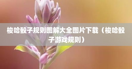 梭哈骰子规则图解大全图片下载（梭哈骰子游戏规则）