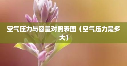 空气压力与容量对照表图（空气压力是多大）