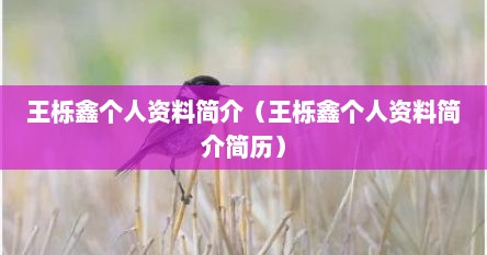 王栎鑫个人资料简介（王栎鑫个人资料简介简历）