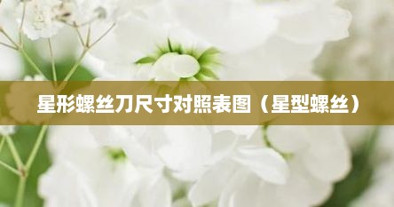 星形螺丝刀尺寸对照表图（星型螺丝）