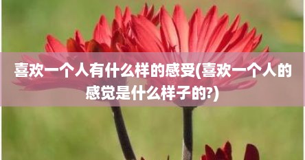 喜欢一个人有什么样的感受(喜欢一个人的感觉是什么样子的?)