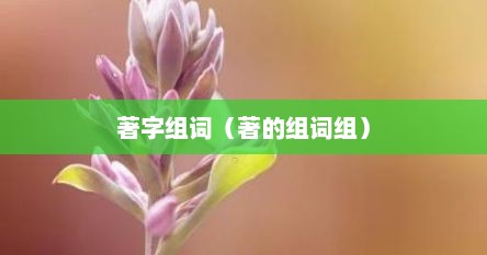 著字组词（著的组词组）