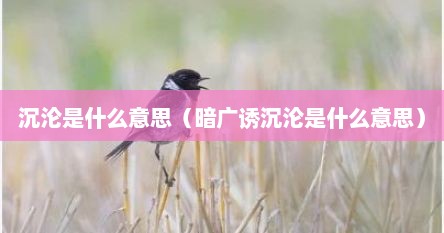 沉沦是什么意思（暗广诱沉沦是什么意思）