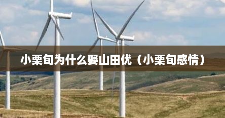 小栗旬为什么娶山田优（小栗旬感情）