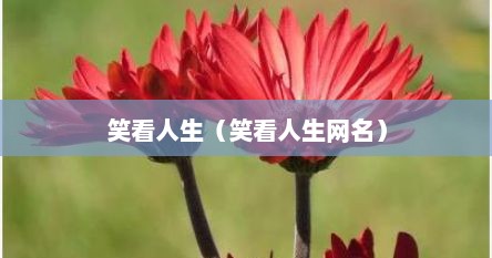 笑看人生（笑看人生网名）