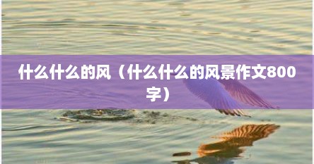 什么什么的风（什么什么的风景作文800字）