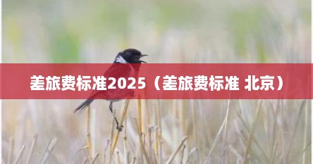 2023差旅费标准明细（差旅费标准及报销规定）