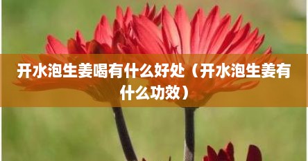 开水泡生姜喝有什么好处（开水泡生姜有什么功效）