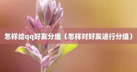 怎样给qq好友分组（怎样对好友进行分组）