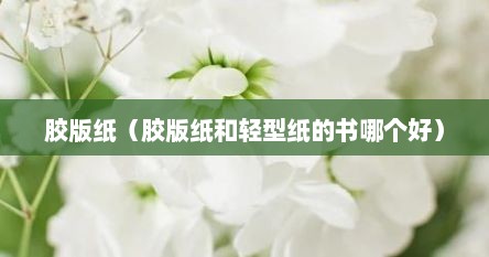 胶版纸（胶版纸和轻型纸的书哪个好）