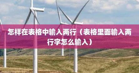 怎样在表格中输入两行（表格里面输入两行字怎么输入）