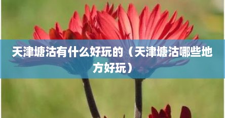 天津塘沽有什么好玩的（天津塘沽哪些地方好玩）