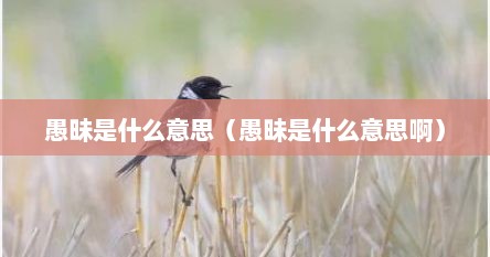 愚昧是什么意思（愚昧是什么意思啊）